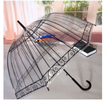 umbrella and raincoat