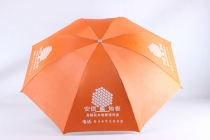 umbrella and raincoat