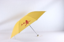 umbrella and raincoat