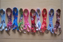lanyard