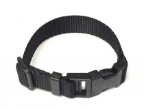 lanyard
