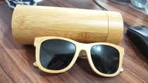 lens case