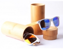 lens case
