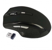 mouse
