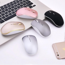 mouse