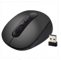 mouse