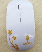 mouse