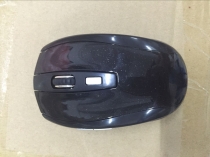 mouse