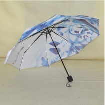 umbrella and raincoat